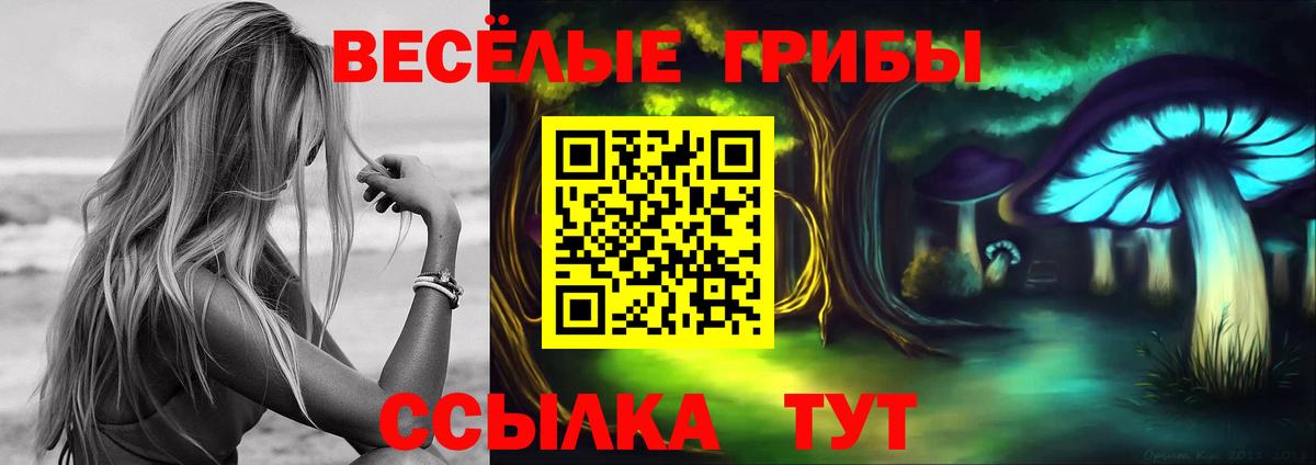 закладки  Вход с VPN  Галлюциногенные грибы мицелий  Дербент  Псилоцибиновые грибы Psilocybe 